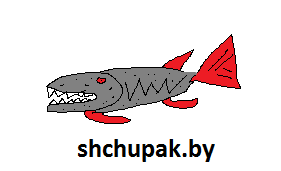 Рыболовный Интернет-Магазин SHCHUPAK.BY 
